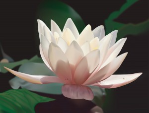 Lotus_Blossom_-1 (2)